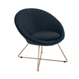 Bianca Velvet Retro Chair with Gold Metal Legs- Black