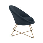 Bianca Velvet Retro Chair with Gold Metal Legs- Black