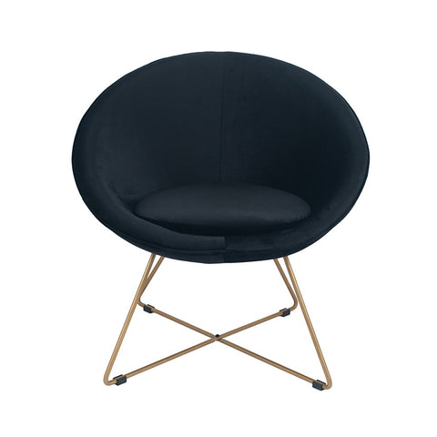 Bianca Velvet Retro Chair with Gold Metal Legs- Black