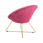 Bianca Velvet Retro Chair with Gold Metal Legs- Raspberry