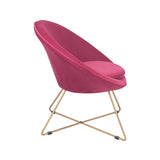 Bianca Velvet Retro Chair with Gold Metal Legs- Raspberry