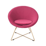 Bianca Velvet Retro Chair with Gold Metal Legs- Raspberry